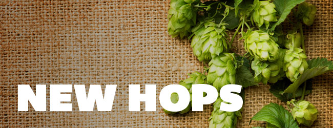 NEW Brewing Hops